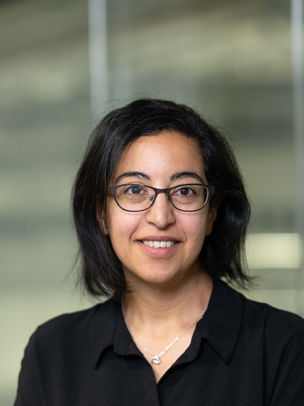 Professor Havi Chichger