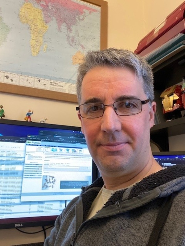 Professor Stephen Marygold