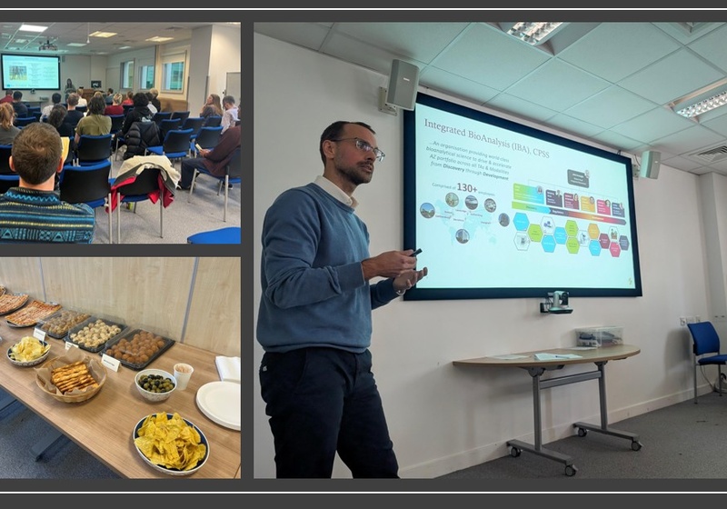 collage of people attending camel meeting